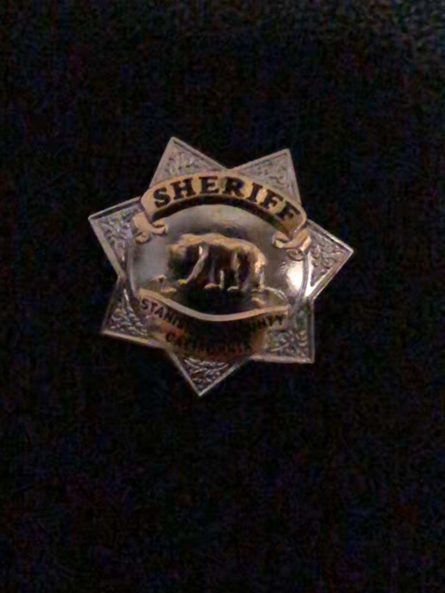 SCSEF Lapel Pin